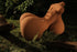 35cm/13.7in X-MTorso Forest (Tan) - Sex Doll - RealDolls4U