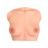 Mammary Intercourse Silicone Sex Torso Si-B-61 - RealDolls4U