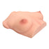 Mammary Intercourse Silicone Sex Torso Si-B-61 - RealDolls4U